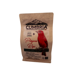 Café Piranga Roja