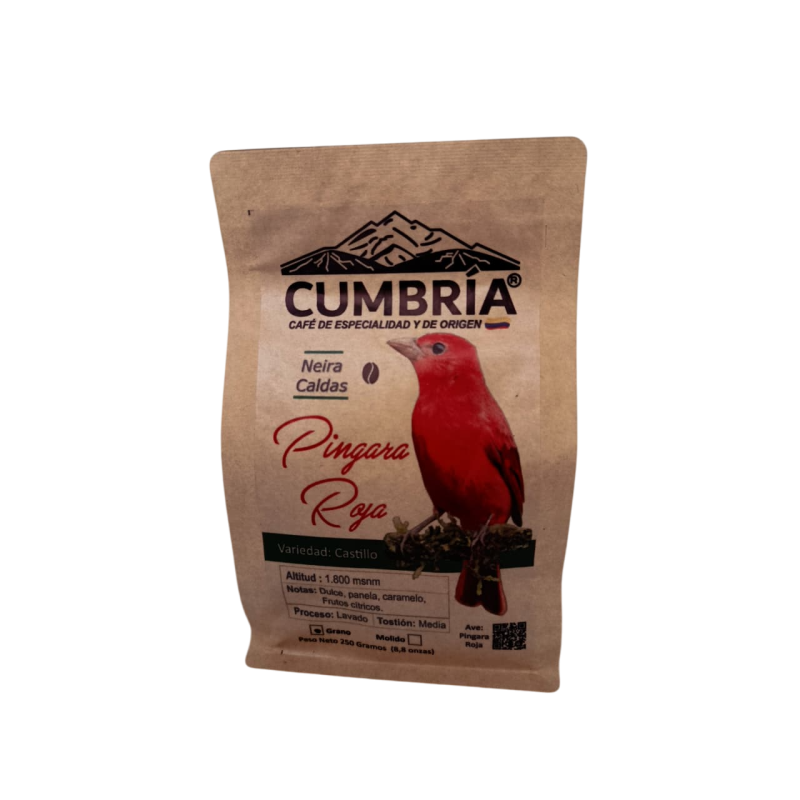 Café Piranga Roja