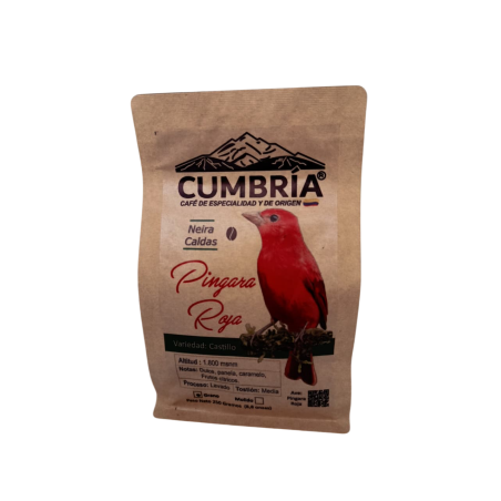 Café Piranga Roja