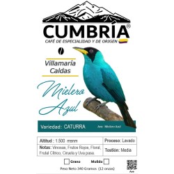 Café Caturra
