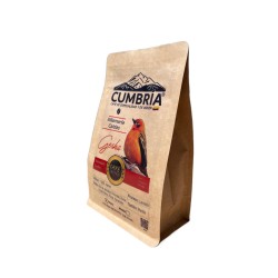 Café Gesha Origen Villamaria