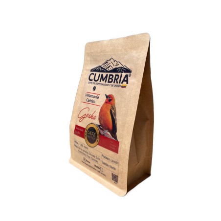 Café Gesha Origen Villamaria