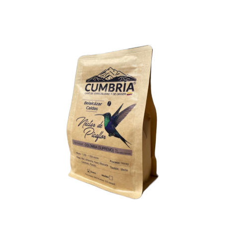 copia de copia de Café Gesha Origen Villamaria
